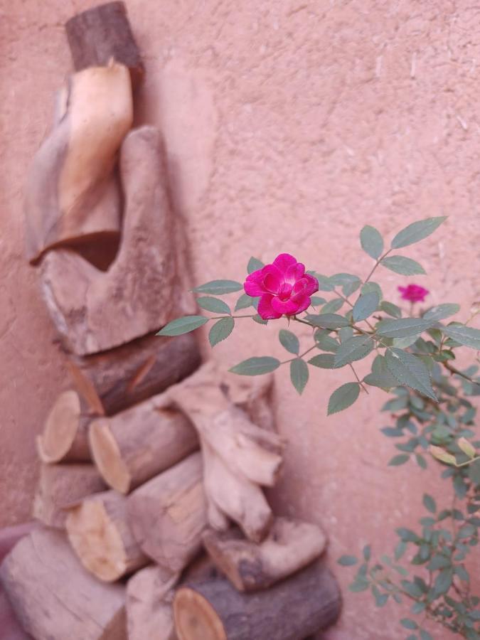 Les Jardins Du M'Goun Acomodação com café da manhã Kelaat-M'Gouna Exterior foto