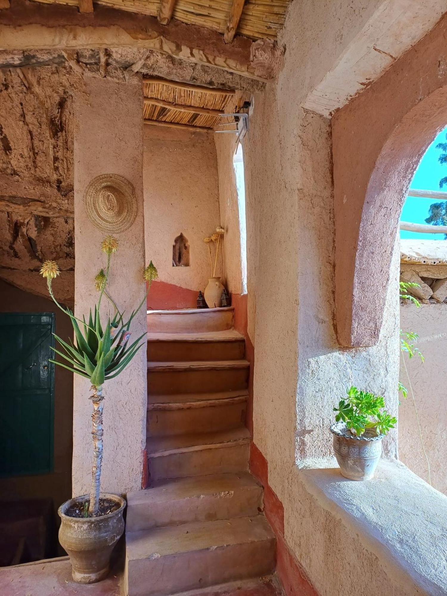 Les Jardins Du M'Goun Acomodação com café da manhã Kelaat-M'Gouna Exterior foto